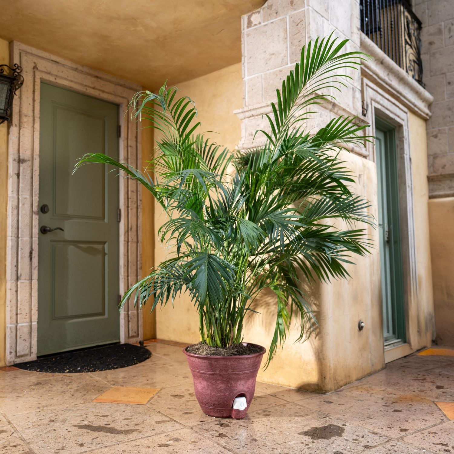 Bernini Set of 2 Firmastone 15" Self-Watering Smart Planters