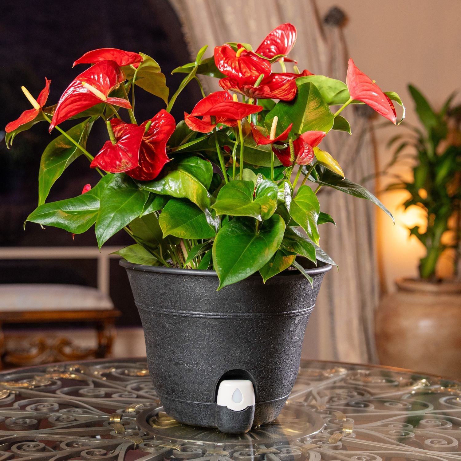 Bernini Set of 2 Firmastone 15" Self-Watering Smart Planters