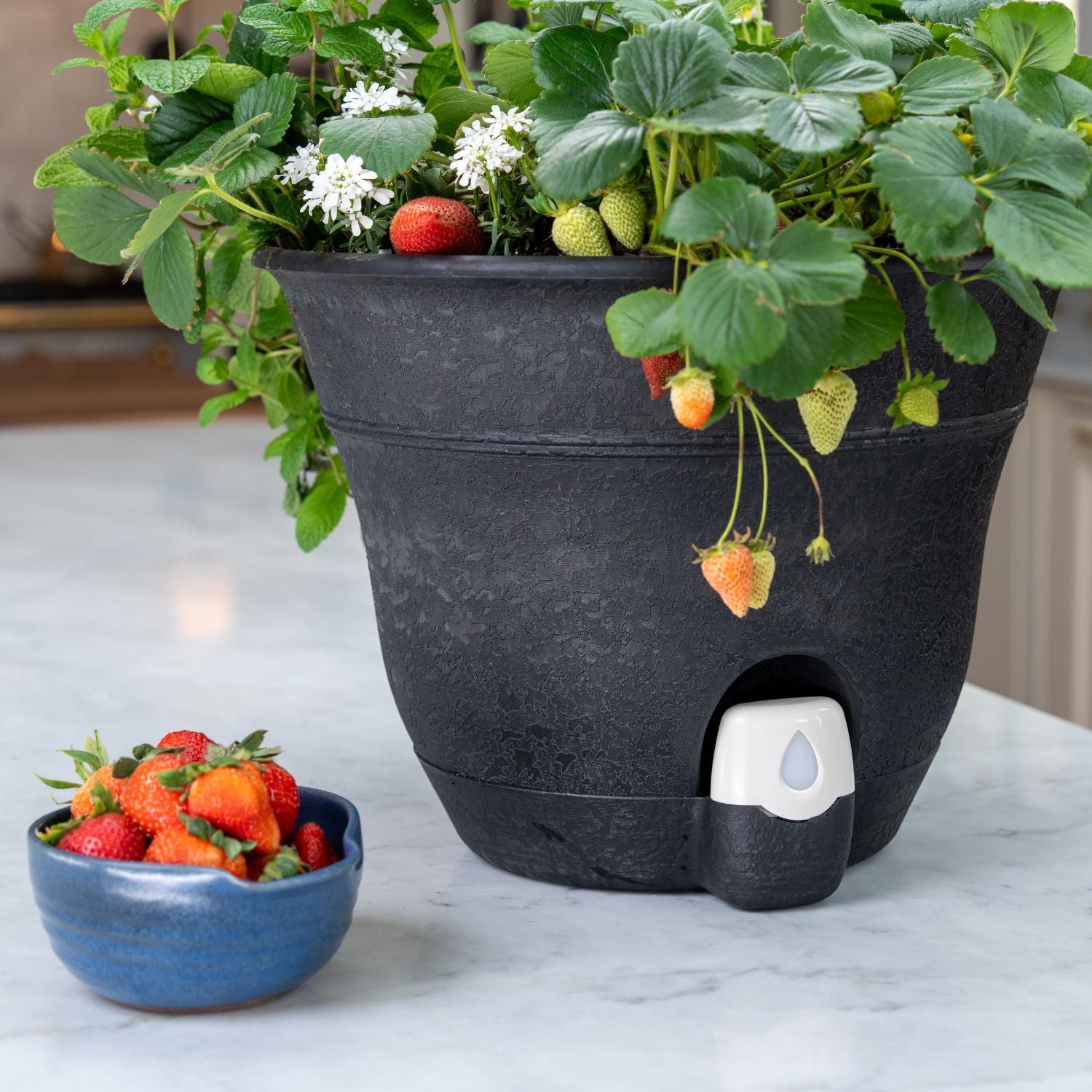 Bernini Set of 2 Firmastone 15" Self-Watering Smart Planters