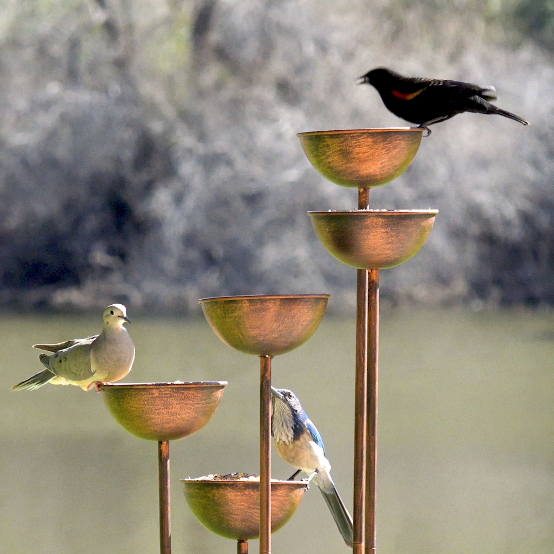 Giorgio Standing Bird Feeder