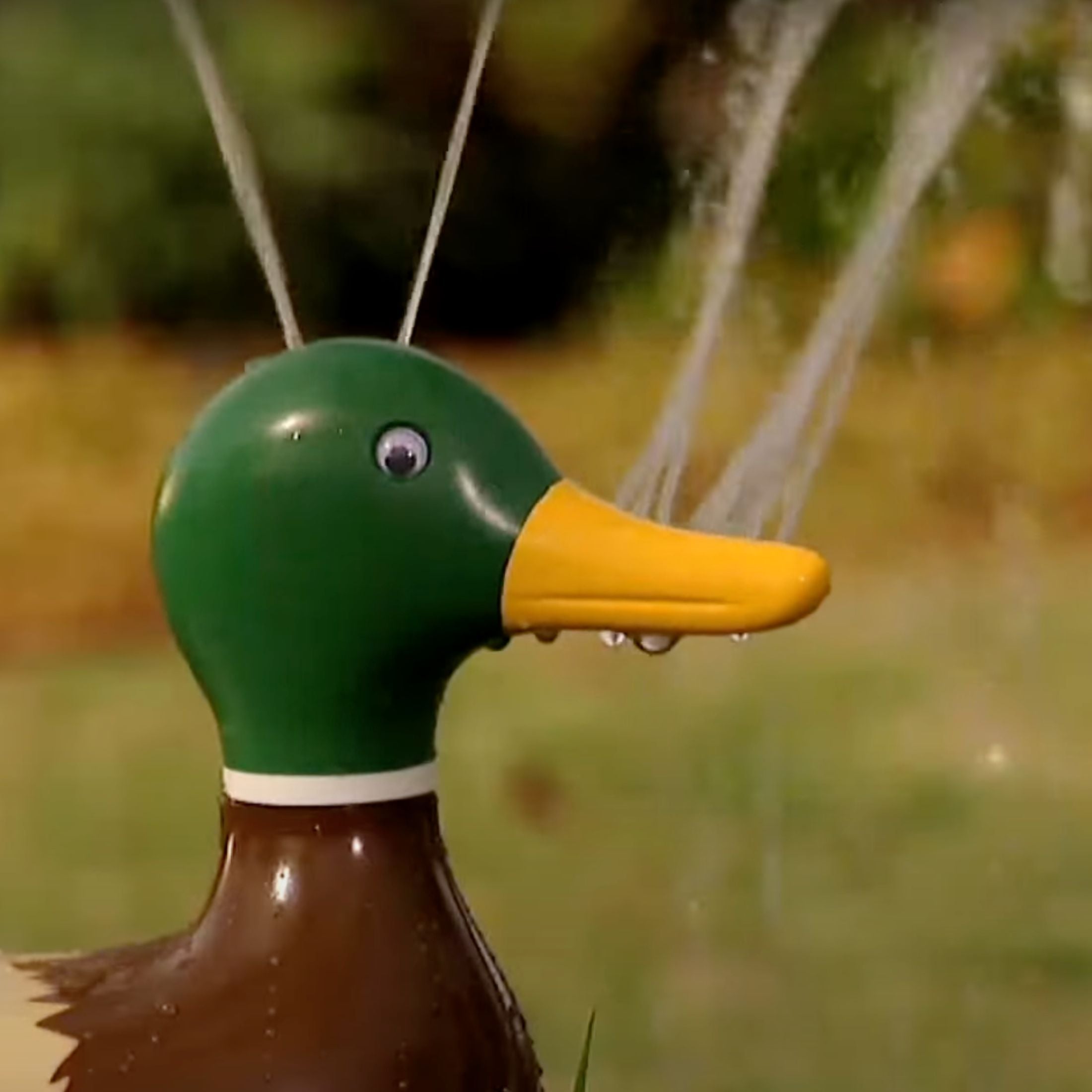 Duck Decoy Garden Critter Sprinkler