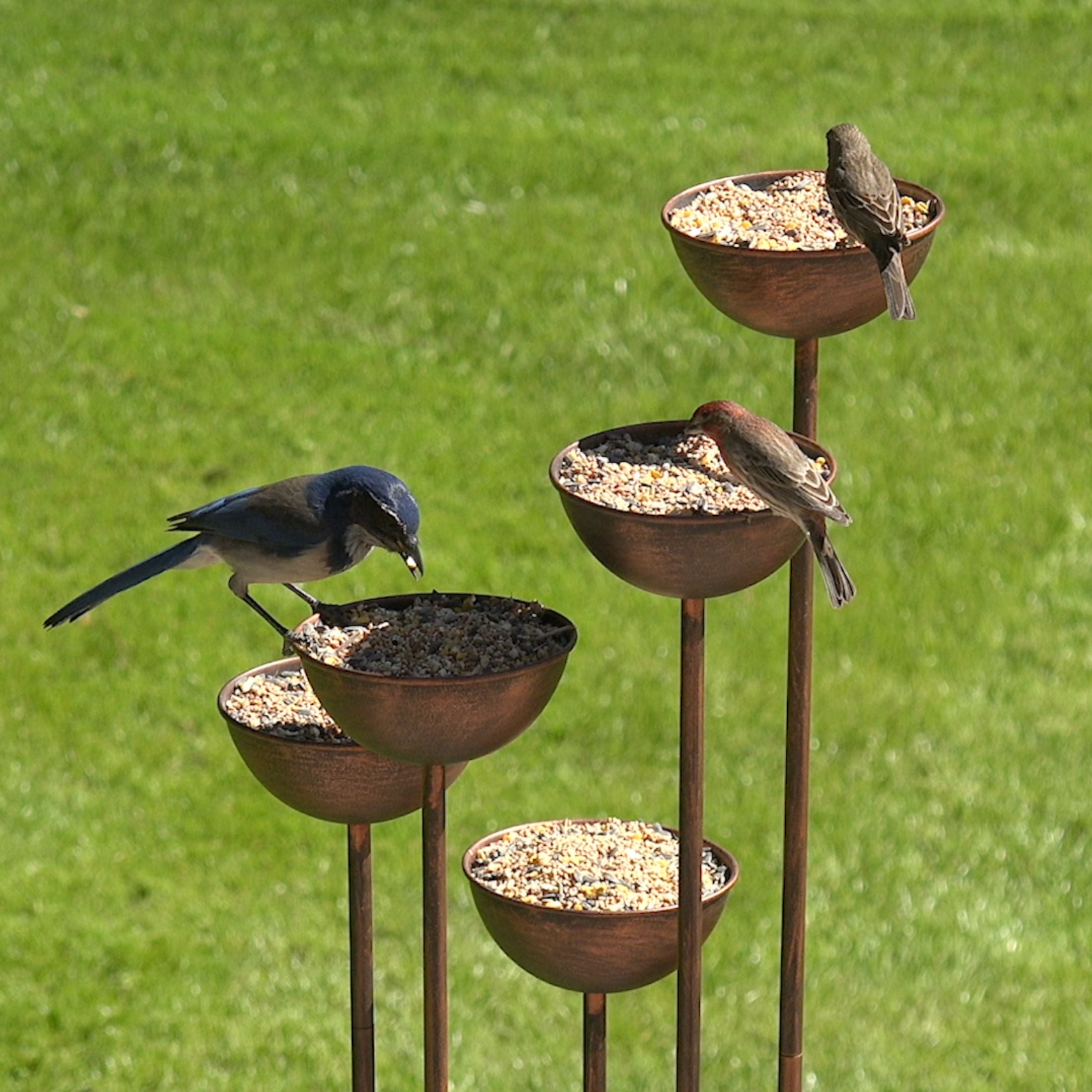 Giorgio Standing Bird Feeder