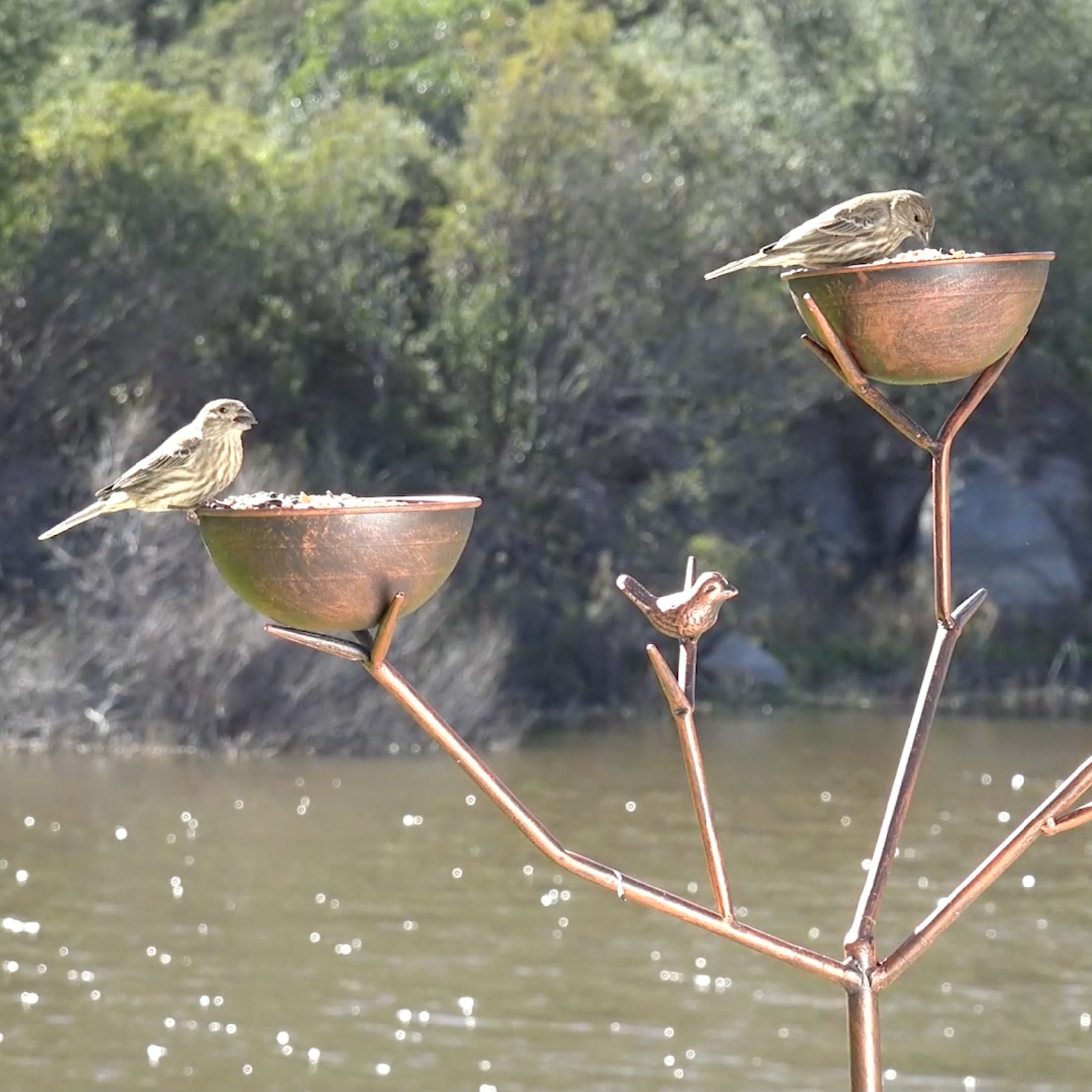 Alberto Standing Bird Feeder