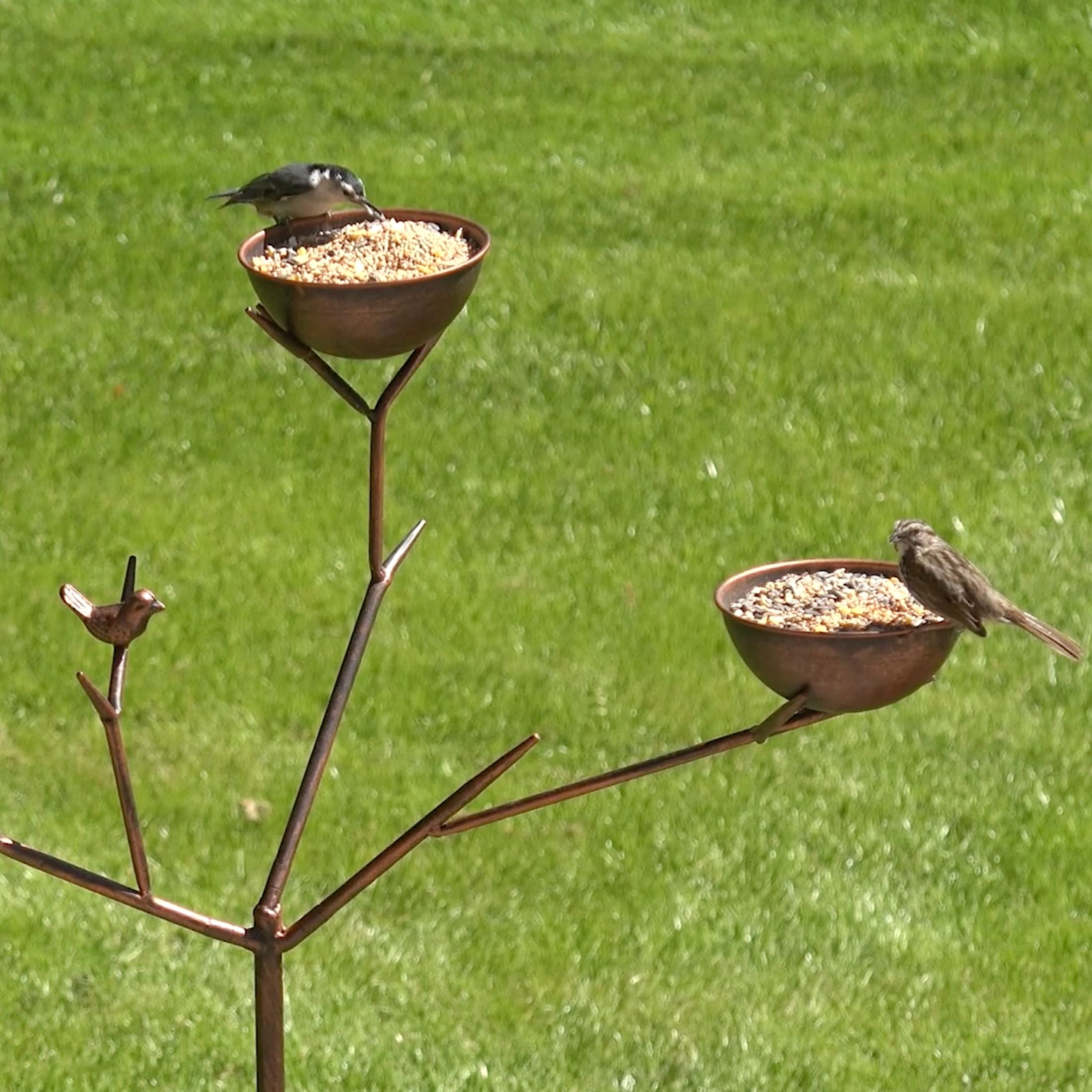 Alberto Standing Bird Feeder