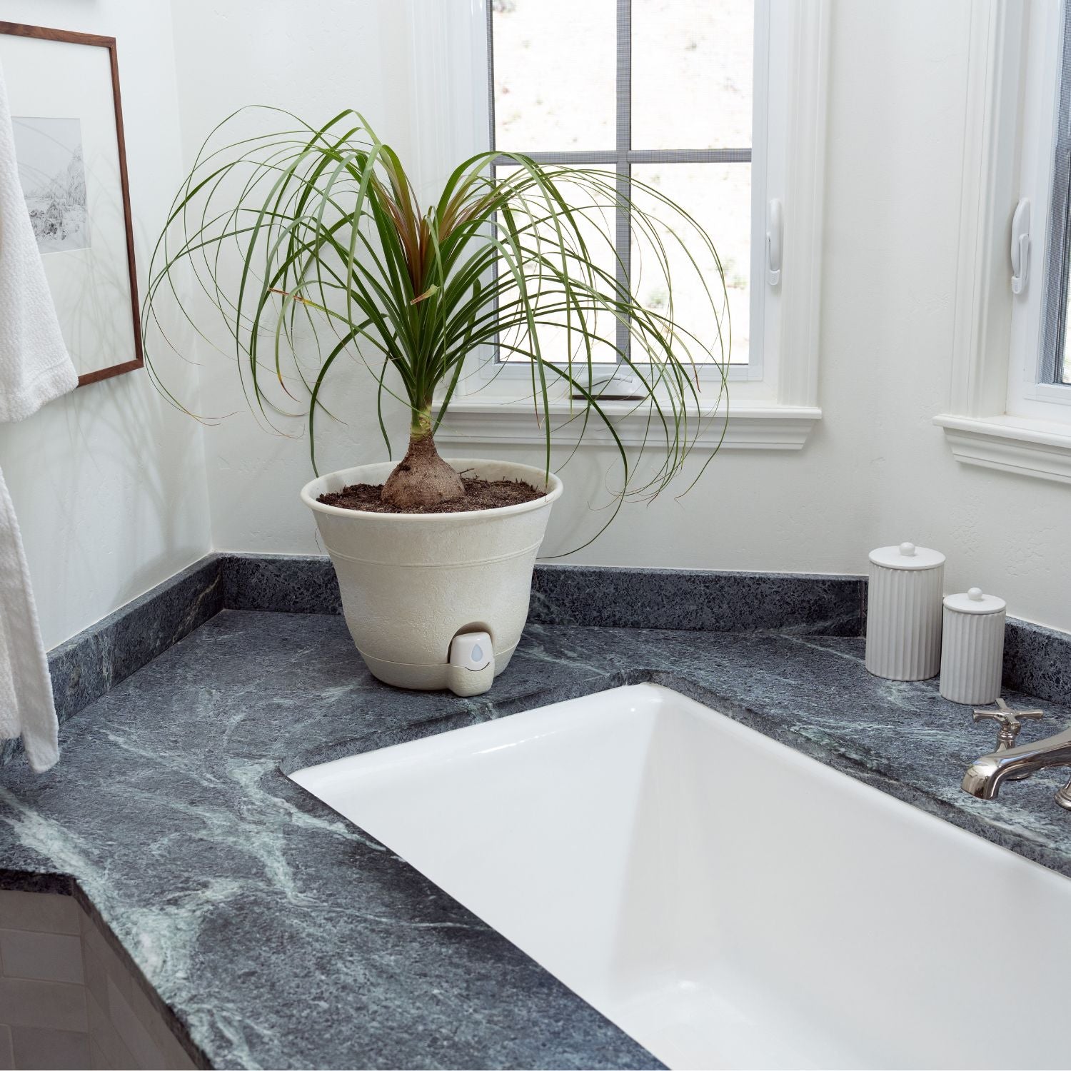 Bernini Set of 2 Firmastone 15" Self-Watering Smart Planters