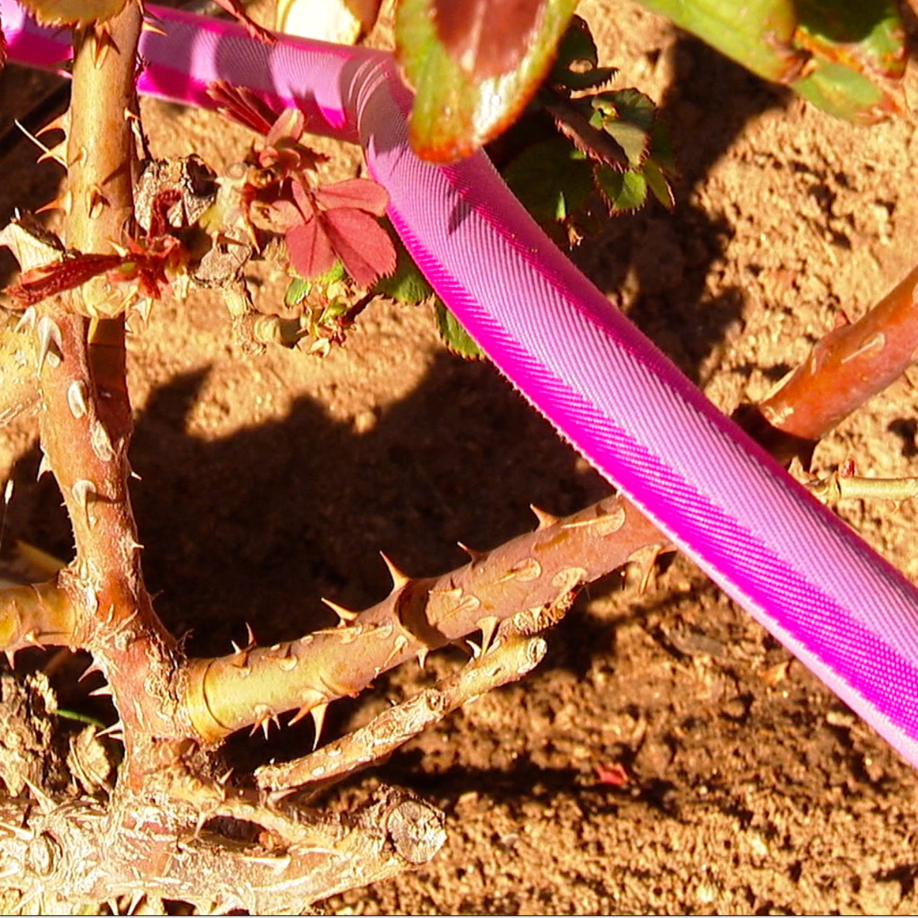 Heavy Duty HydroHose