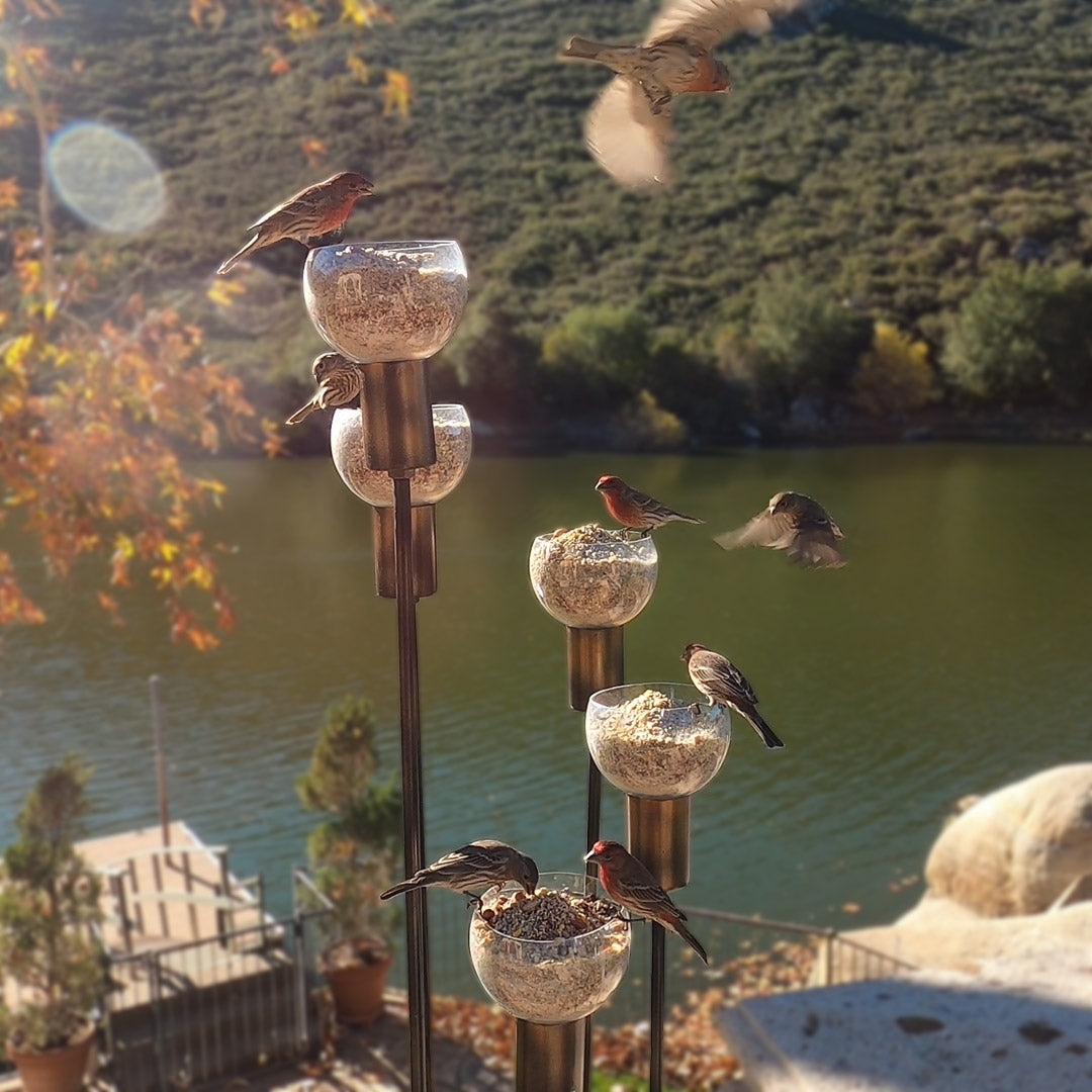 Paolo Grand Birdfeeder